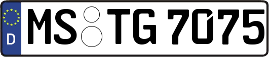 MS-TG7075