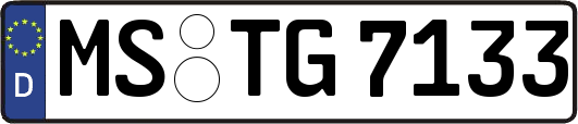 MS-TG7133