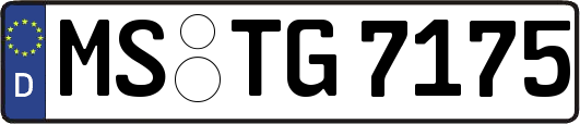 MS-TG7175