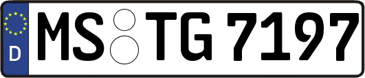 MS-TG7197