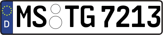 MS-TG7213