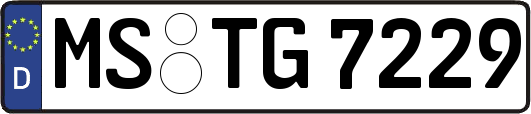 MS-TG7229