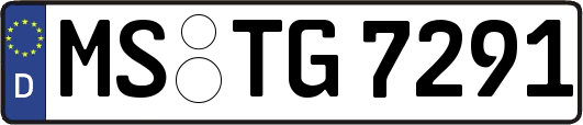 MS-TG7291