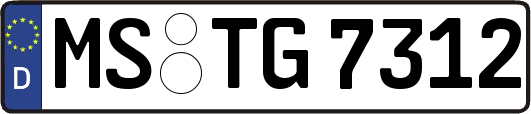 MS-TG7312