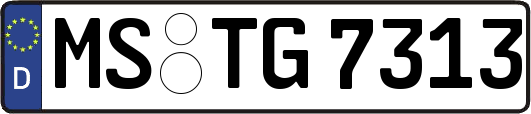 MS-TG7313