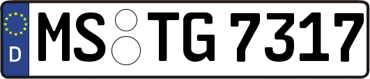 MS-TG7317