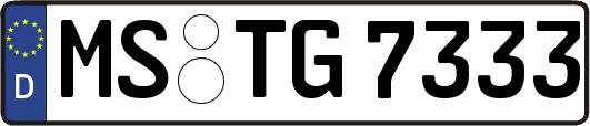 MS-TG7333