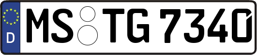 MS-TG7340