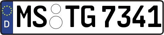 MS-TG7341