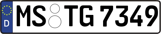MS-TG7349