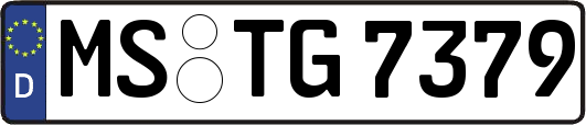 MS-TG7379