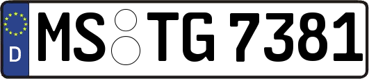 MS-TG7381