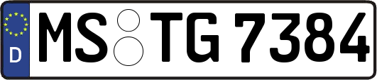 MS-TG7384