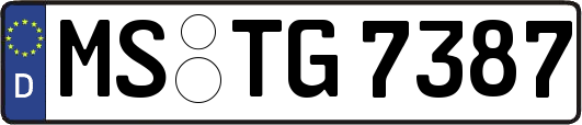 MS-TG7387
