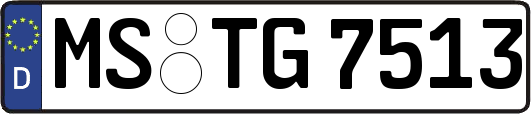 MS-TG7513