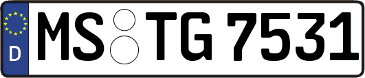MS-TG7531