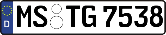 MS-TG7538