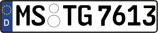 MS-TG7613