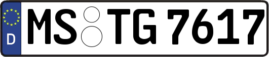 MS-TG7617