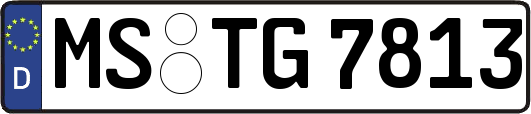 MS-TG7813