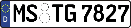 MS-TG7827