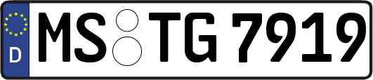 MS-TG7919