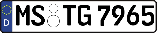 MS-TG7965
