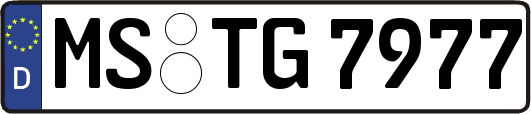 MS-TG7977