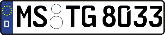 MS-TG8033