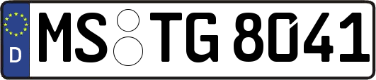 MS-TG8041