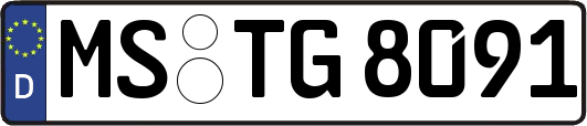 MS-TG8091