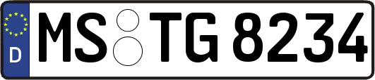 MS-TG8234