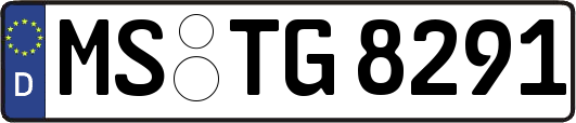 MS-TG8291