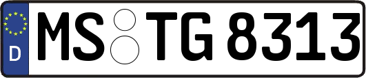 MS-TG8313