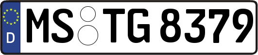 MS-TG8379