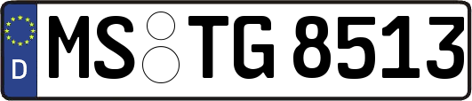 MS-TG8513