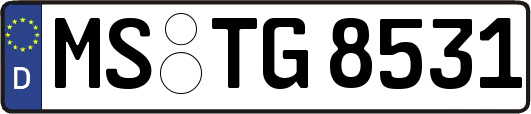 MS-TG8531