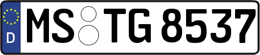 MS-TG8537
