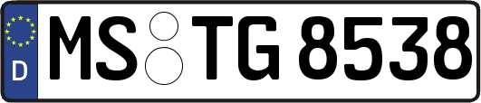 MS-TG8538