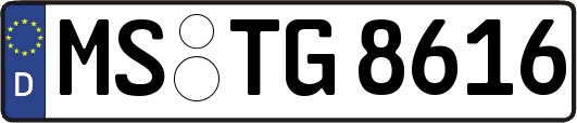 MS-TG8616