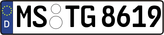 MS-TG8619