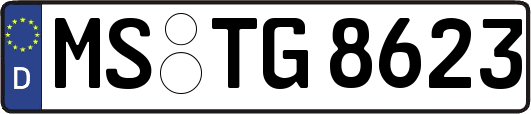 MS-TG8623