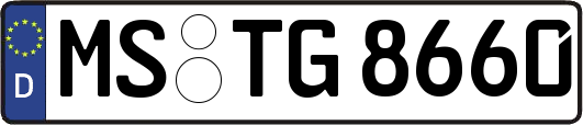 MS-TG8660
