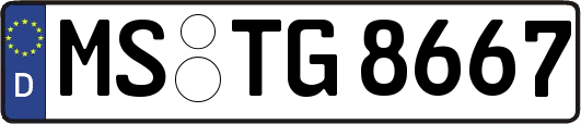 MS-TG8667