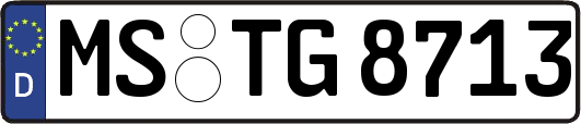 MS-TG8713