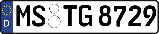 MS-TG8729