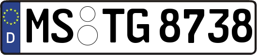 MS-TG8738