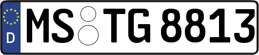 MS-TG8813