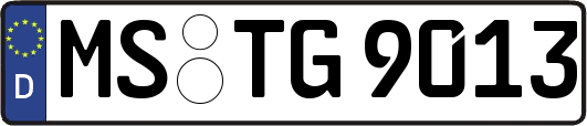 MS-TG9013