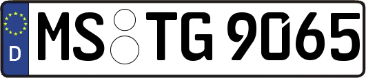 MS-TG9065